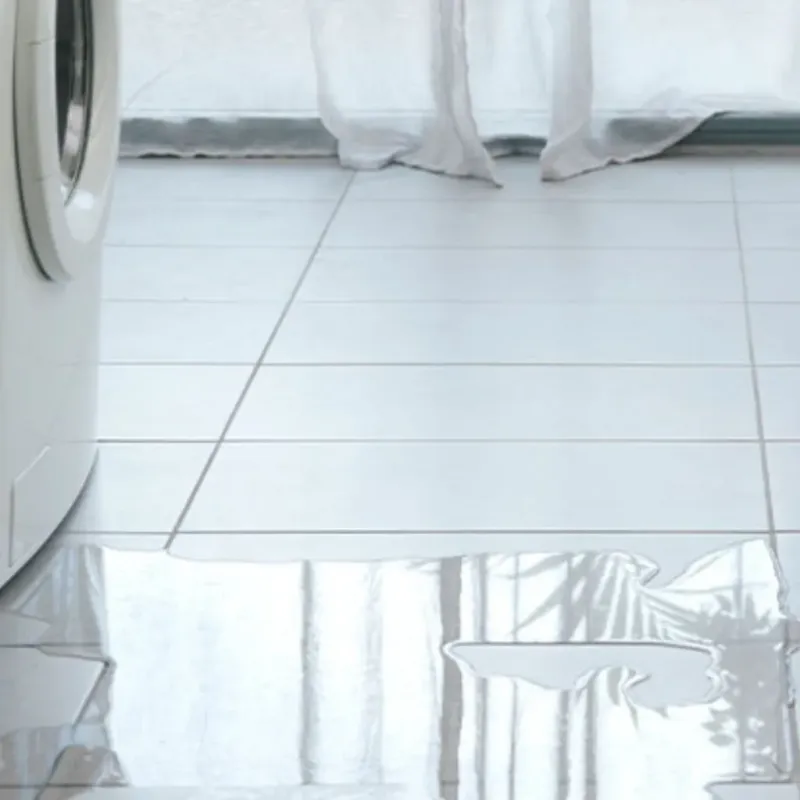 Appliance Leak Cleanup in Maltby, WA